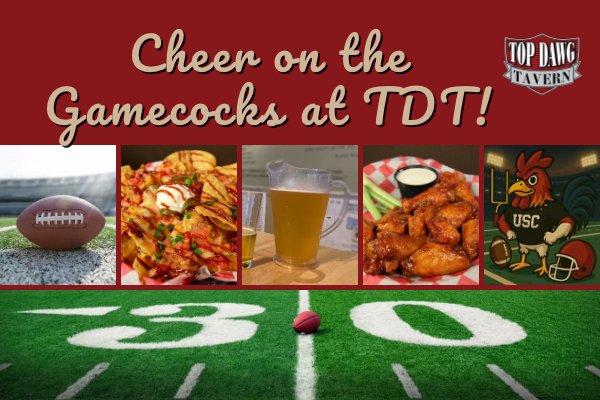 $10 Domestic Pitchers every Saturday and Sunday