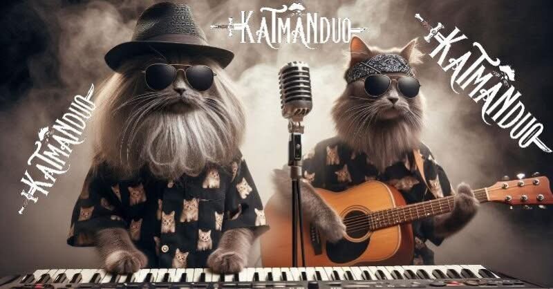 Live Music on the patio at TDT!